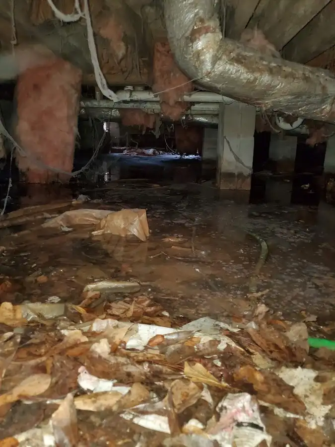 Crawl space flood assessment for Leak Detection & Repair in Riverview