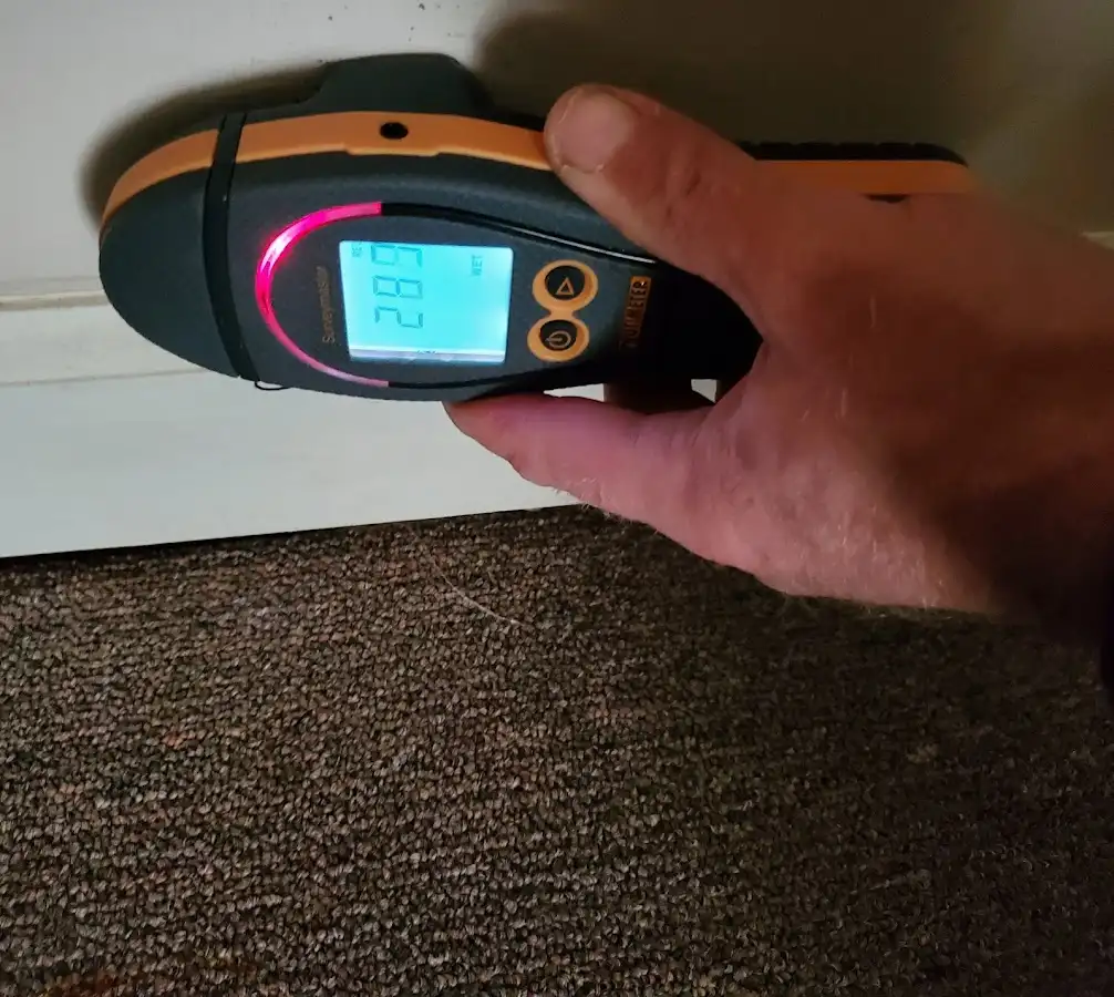 Moisture detection at baseboard during Mold Inspection & Testing in Riverview