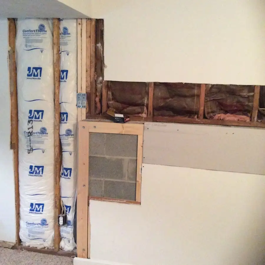 Wall insulation replacement during Odor Removal & Deodorization in Riverview